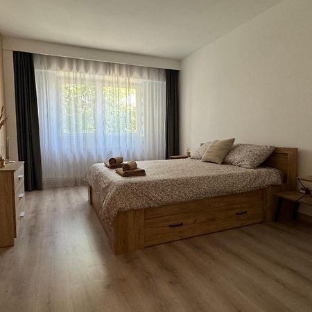 Lareina Apartament คลูจ-นาโปกา ภายนอก รูปภาพ